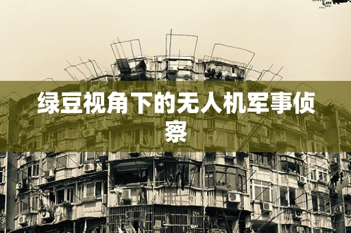 绿豆视角下的无人机军事侦察