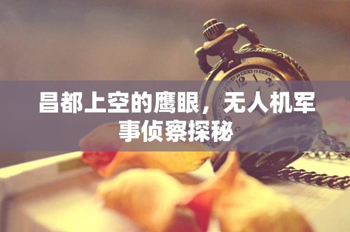 昌都上空的鹰眼，无人机军事侦察探秘