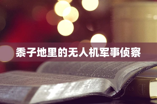 黍子地里的无人机军事侦察