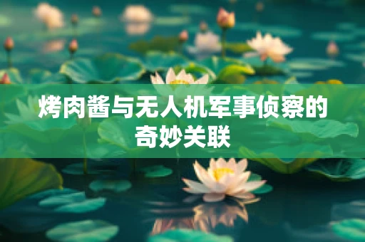 烤肉酱与无人机军事侦察的奇妙关联