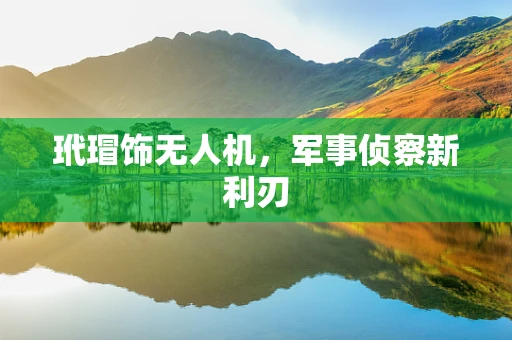 玳瑁饰无人机，军事侦察新利刃