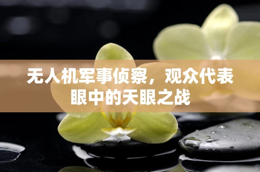 无人机军事侦察，观众代表眼中的天眼之战