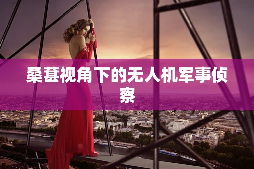 桑葚视角下的无人机军事侦察