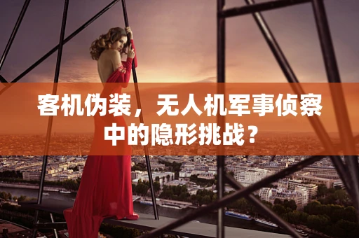 客机伪装，无人机军事侦察中的隐形挑战？