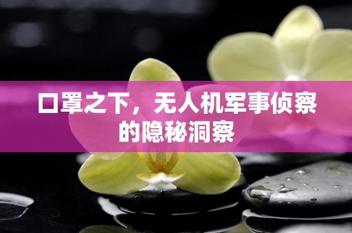 口罩之下，无人机军事侦察的隐秘洞察