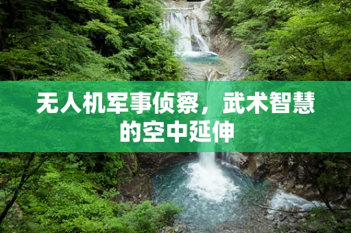 无人机军事侦察，武术智慧的空中延伸