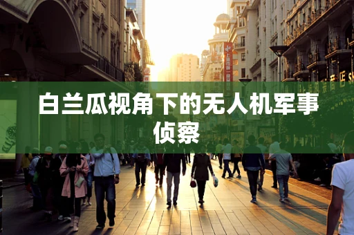 白兰瓜视角下的无人机军事侦察