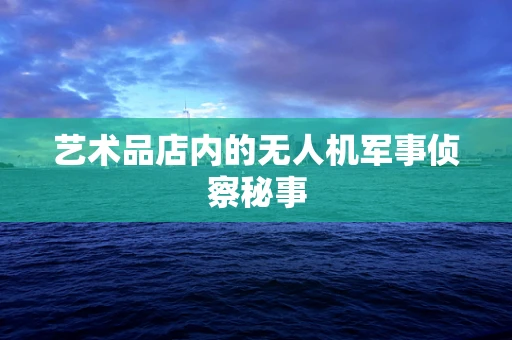 艺术品店内的无人机军事侦察秘事