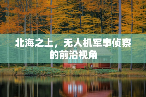 北海之上，无人机军事侦察的前沿视角