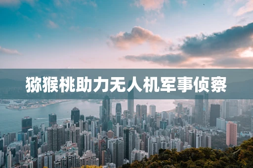 猕猴桃助力无人机军事侦察