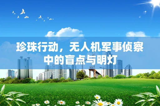 珍珠行动，无人机军事侦察中的盲点与明灯