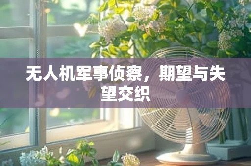 无人机军事侦察，期望与失望交织