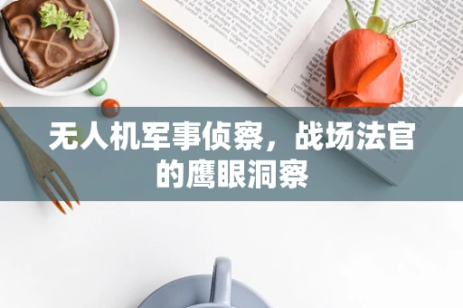 无人机军事侦察，战场法官的鹰眼洞察