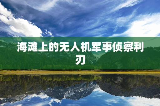 海滩上的无人机军事侦察利刃