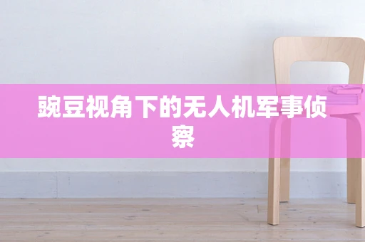 豌豆视角下的无人机军事侦察