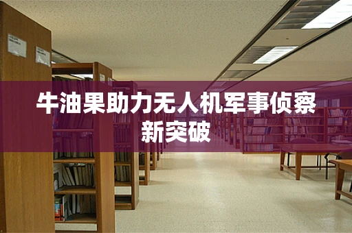 牛油果助力无人机军事侦察新突破