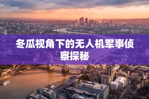 冬瓜视角下的无人机军事侦察探秘