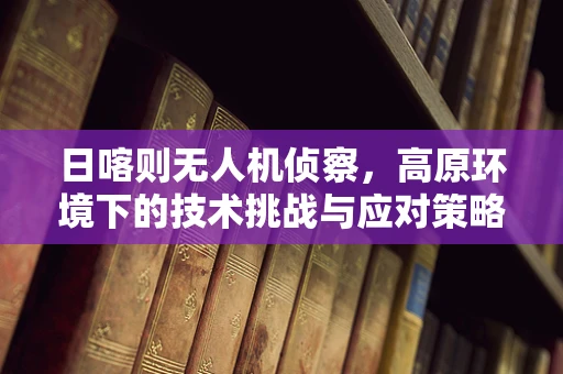 日喀则无人机侦察，高原环境下的技术挑战与应对策略