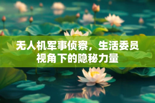 无人机军事侦察，生活委员视角下的隐秘力量