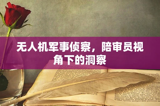 无人机军事侦察，陪审员视角下的洞察