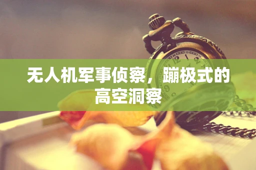 无人机军事侦察，蹦极式的高空洞察