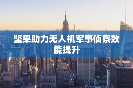 坚果助力无人机军事侦察效能提升