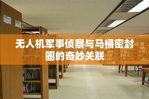 无人机军事侦察与马桶密封圈的奇妙关联