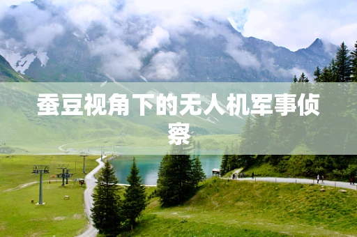 蚕豆视角下的无人机军事侦察