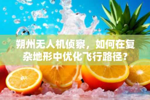朔州无人机侦察，如何在复杂地形中优化飞行路径？