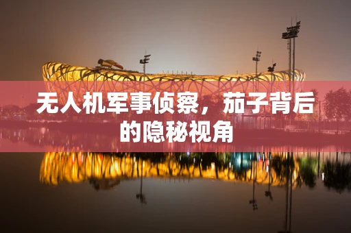 无人机军事侦察，茄子背后的隐秘视角