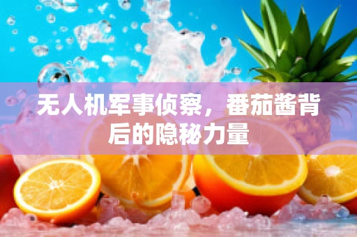 无人机军事侦察，番茄酱背后的隐秘力量