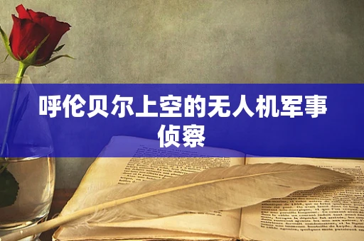 呼伦贝尔上空的无人机军事侦察
