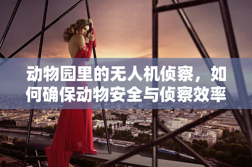 动物园里的无人机侦察，如何确保动物安全与侦察效率的平衡？