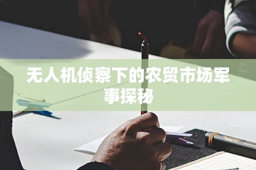 无人机侦察下的农贸市场军事探秘