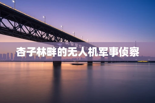 杏子林畔的无人机军事侦察