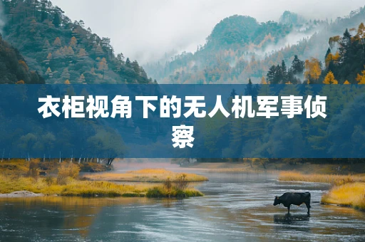 衣柜视角下的无人机军事侦察
