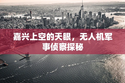嘉兴上空的天眼，无人机军事侦察探秘