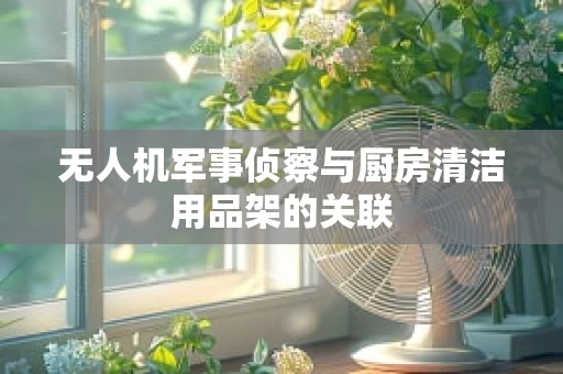 无人机军事侦察与厨房清洁用品架的关联