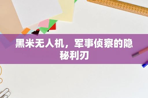 黑米无人机，军事侦察的隐秘利刃
