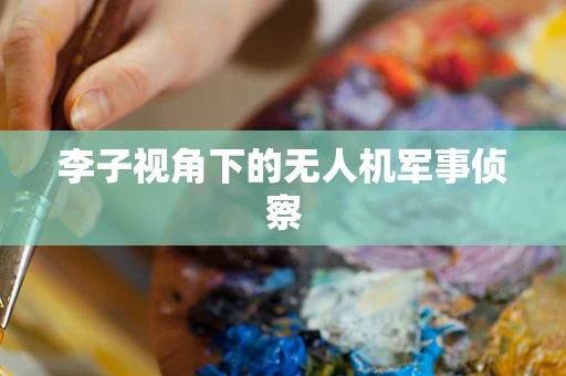 李子视角下的无人机军事侦察