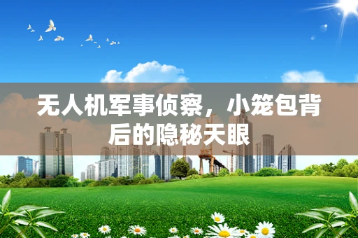 无人机军事侦察，小笼包背后的隐秘天眼