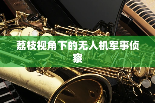 荔枝视角下的无人机军事侦察