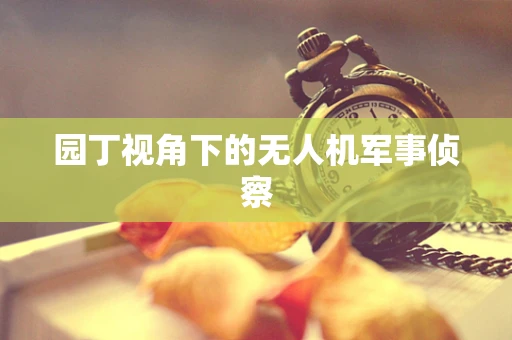 园丁视角下的无人机军事侦察