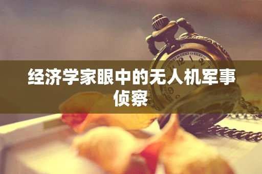 经济学家眼中的无人机军事侦察
