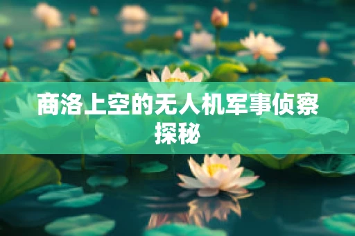 商洛上空的无人机军事侦察探秘