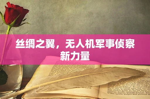 丝绸之翼，无人机军事侦察新力量