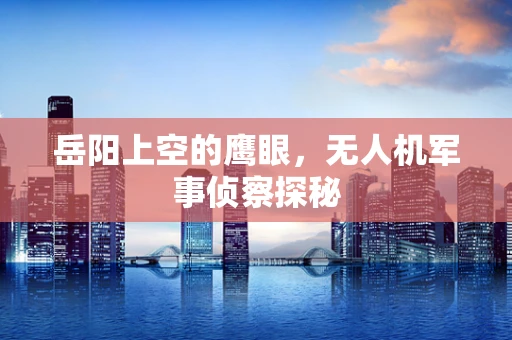 岳阳上空的鹰眼，无人机军事侦察探秘