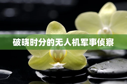 破晓时分的无人机军事侦察