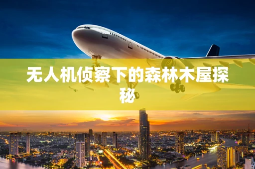 无人机侦察下的森林木屋探秘