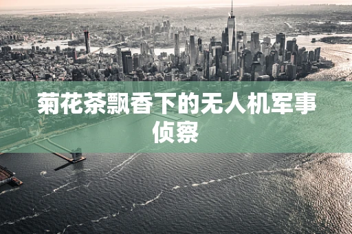 菊花茶飘香下的无人机军事侦察
